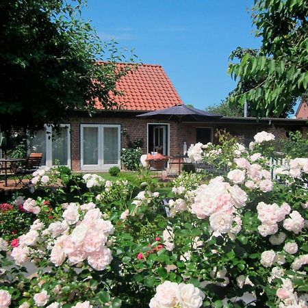 "Rosenkate 1" Lägenhet Riepsdorf Exteriör bild