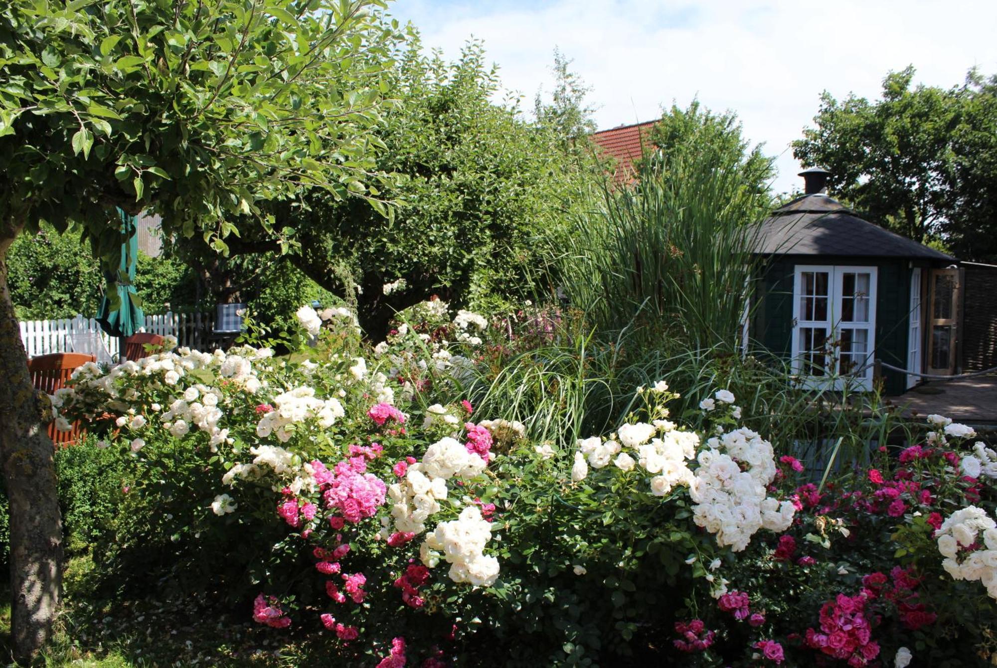 "Rosenkate 1" Lägenhet Riepsdorf Exteriör bild