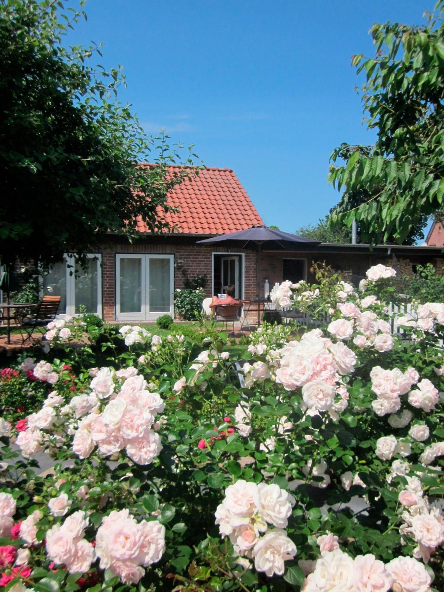 "Rosenkate 1" Lägenhet Riepsdorf Exteriör bild